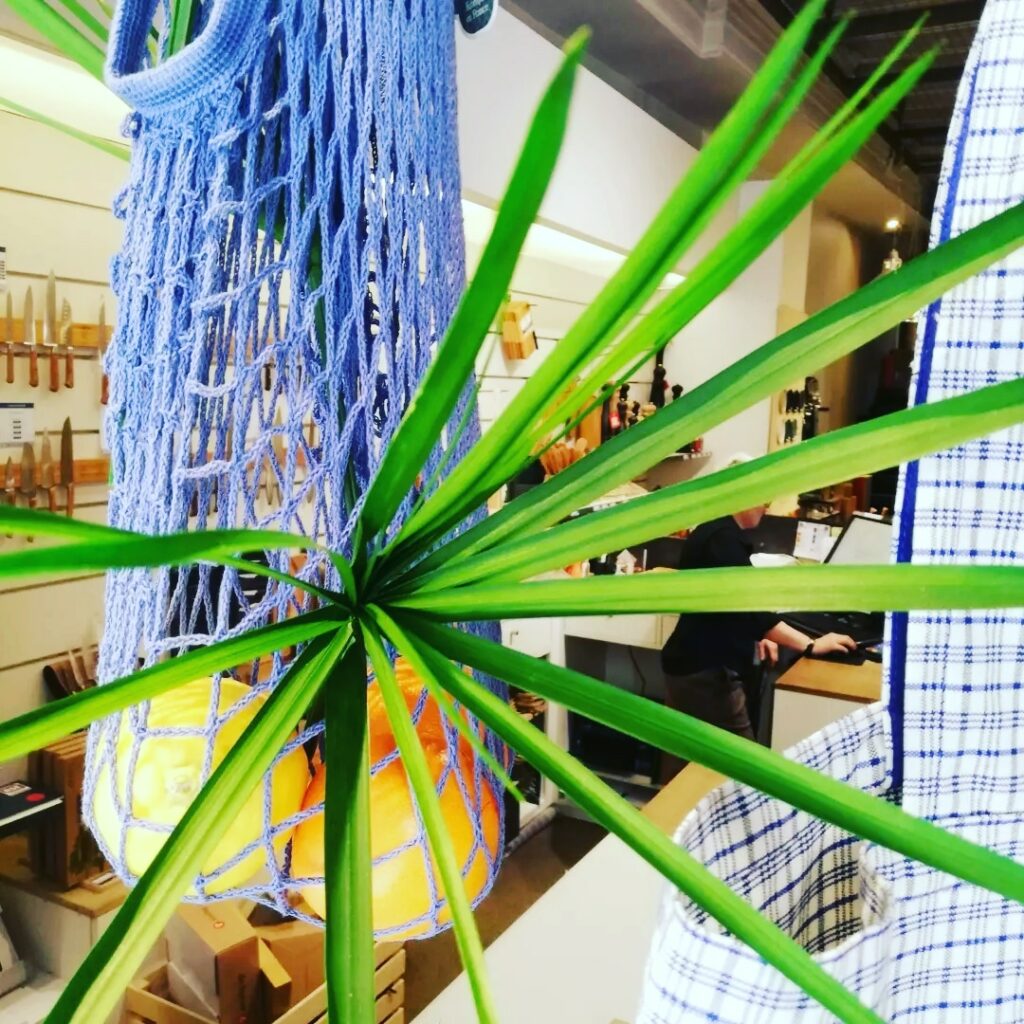 Étalagiste décorateur de vitrine commerce spécialisé